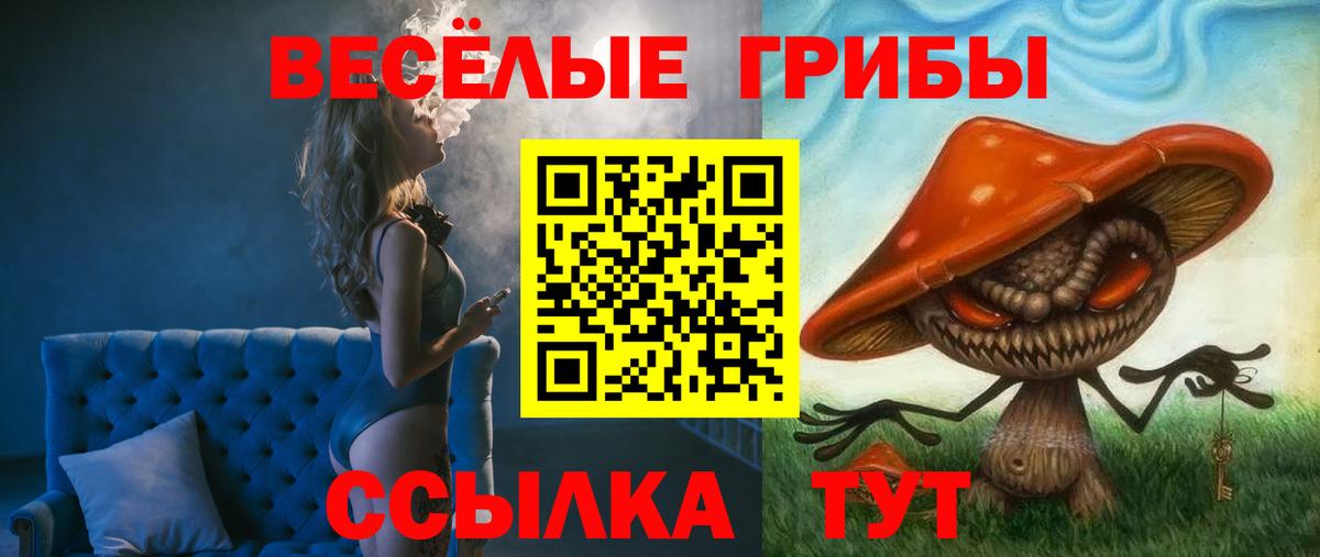 Галлюциногенные грибы Psilocybe  Вход с VPN  Сальск 