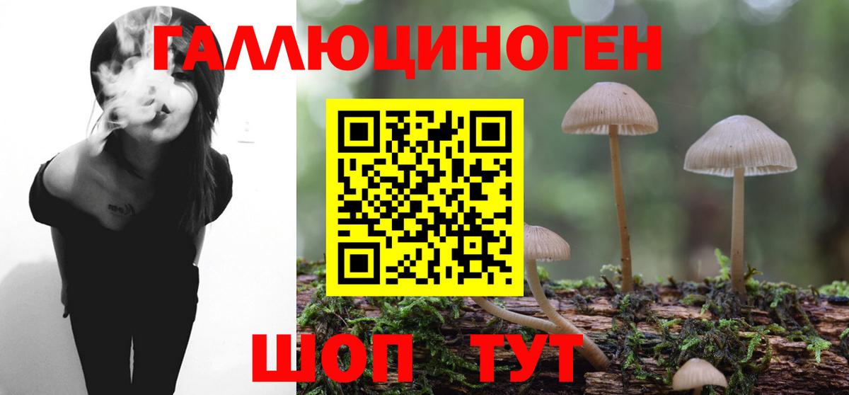 Псилоцибиновые грибы ЛСД Сальск