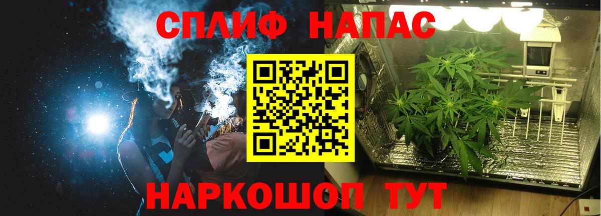 Канабис конопля Сальск